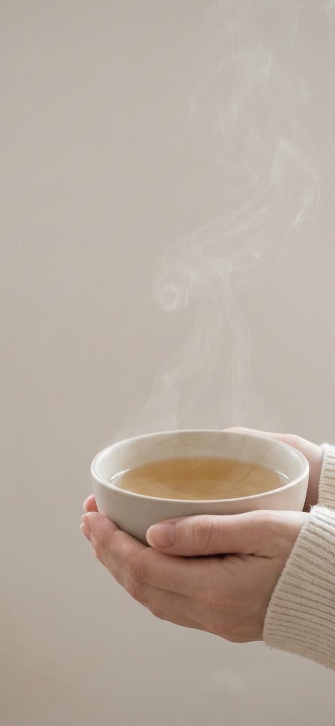 Chamomile — a soft botanical still life in cream and amber tones